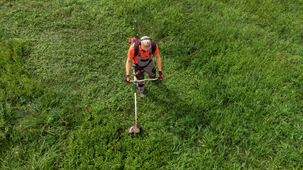 vista aérea do trabalhador em roupas de proteção cortando grama com roçadeira - podador - fotografias e filmes do acervo