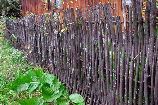 Wattle fence around the house - a traditional rustic twig fence made by intertwining willow branches