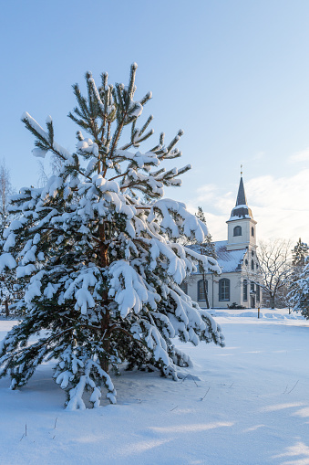 Dormition Cathedral. Famous landmark church in Vladimir city, Russia at winter