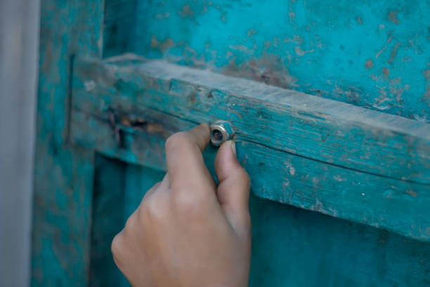 A boy is holding nut with hands and blurred background