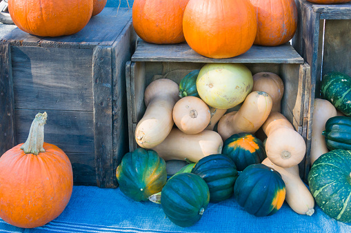 An array of Autumn Pumpkins and squash on a wooden crates at a farmers market on Cape Cod.