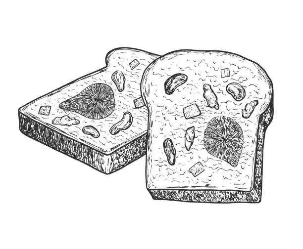 Vector illustration of Slices of bread with dried fruits