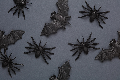Plastic spiders and bats on a dark background. Halloween background