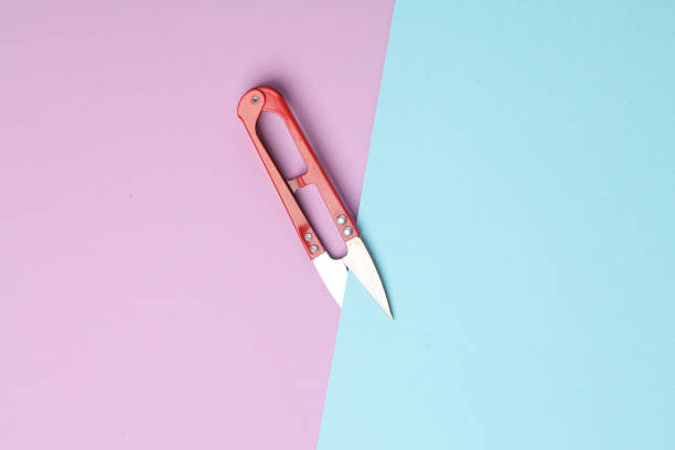 istock Fishing or tailor scissors on blue-pink pastel background 1715404810