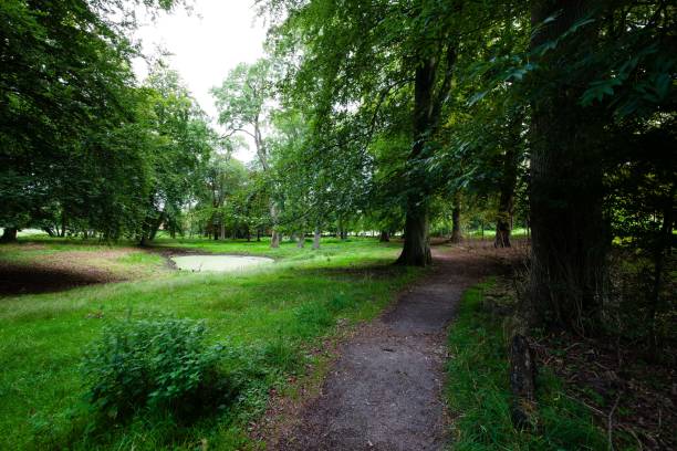 istock Beautiful forest scenery with a path leading forward between trees and a small lake to the left 1715412795