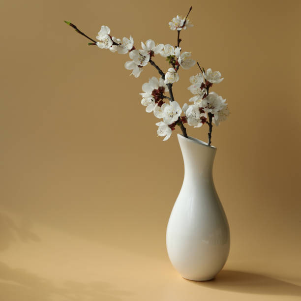 istock Warm beige background with apricot blossom 1715417267