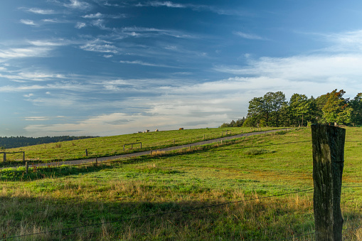 Autumn morning near Krasno village with color fresh fall pasture land and forest