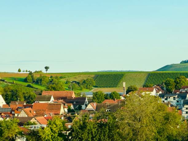 istock Village surrounded by vineyards 1715436079