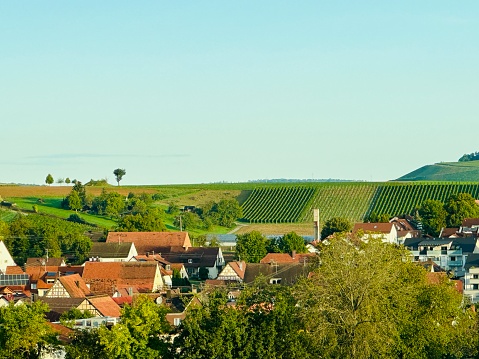 Village surrounded by vineyards
