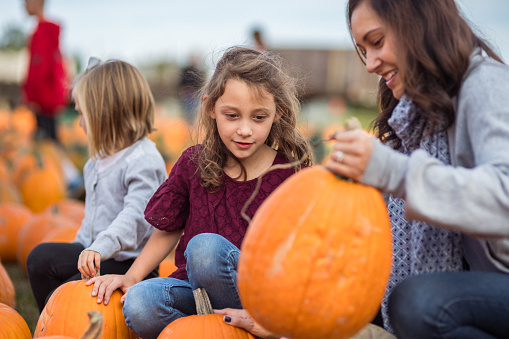 Beautiful young mother sits with her elementary school age daughter's in a pumpkin patch, examining a large pumpkin while spending the day together on a beautiful October day.