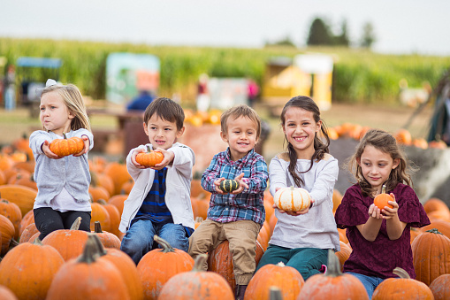 A multiracial group of young children sit in a row, holding small pumpkins out towards the camera in the middle of a pumpkin patch. The children are laughing and smiling together.