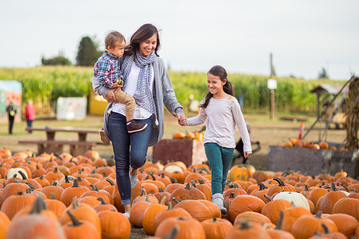 Multiracial mother holds her toddler son on her hip while holding hands with daughter, walking through a pumpkin patch during a fall harvest festival outside.