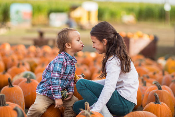 istock Young boy kisses older sister in a pumpkin patch 1715453730