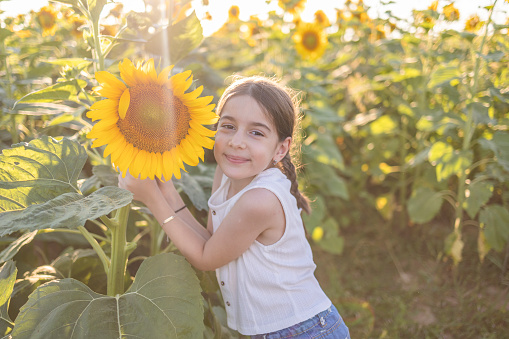 Cute little girl enjoying nature and smiling on the field of sunflowers at sunset.