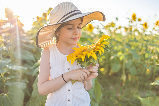Cute girl with straw hat on her head standing in the field of sunflower and holding cropped sunflower in her hand. Beauty in nature.