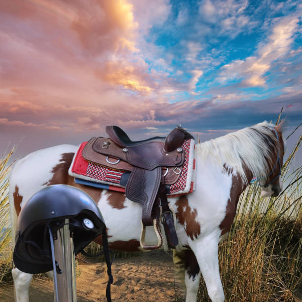 riding saddle and horse with nature background