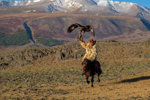 istock Mongolian eagle hunter galloping on his horse, with his golden eagle 1715489167