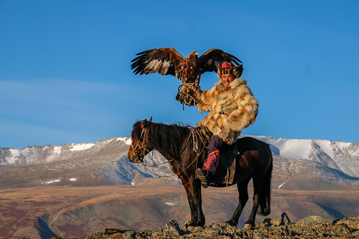 A smiling Kazak eagle hunter sitting on his horse in the Altai Mountains. The hunter's large golden eagle is held on his arm. The beautiful bird of prey has wings wide open. The eagle hunter is wearing a traditional fox fur coat and a hat, also made with animal fur.