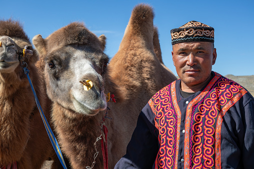 A nomadic Kazak herder, with his camels in the Altai Mountains of Mongolia. He is wearing traditionally embroidered clothing and an embroidered hat. He is holding onto his camels who are led by a rope attached to nostril piercings.
