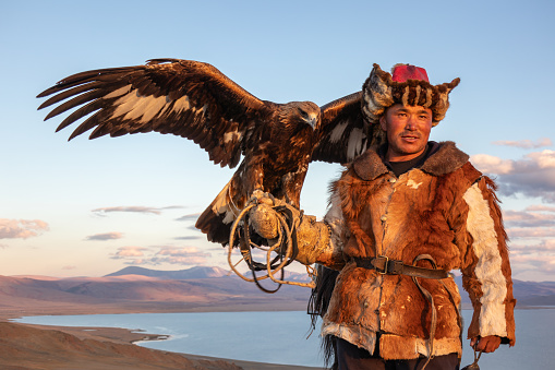 A nomadic Kazak eagle hunter standing with his Golden Eagle in evening sunlight, in the Altai Mountains of Mongolia. The eagle is on his guantlet covered right arm, with it's wings open. The hunter is wearing traditional Kazak clothing.