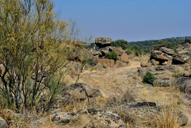 istock mountain landscape is a natural sight 1715489547
