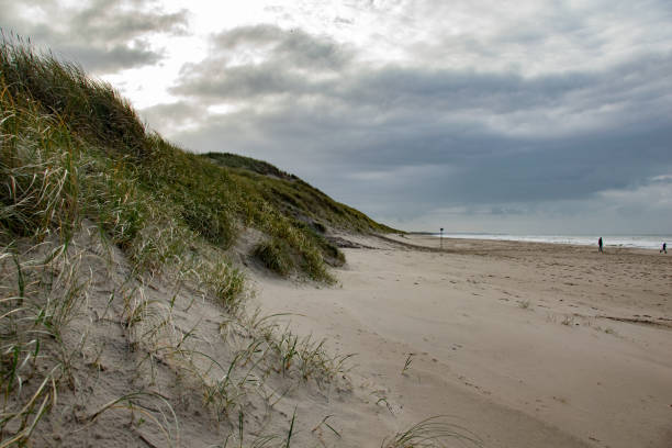 istock Fyrklit Beach, Northern Jytland 1715498379