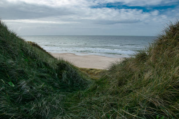 Fyrklit Beach, Northern Jytland