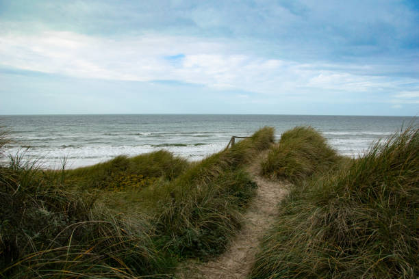 istock Fyrklit Beach, Northern Jytland 1715498934