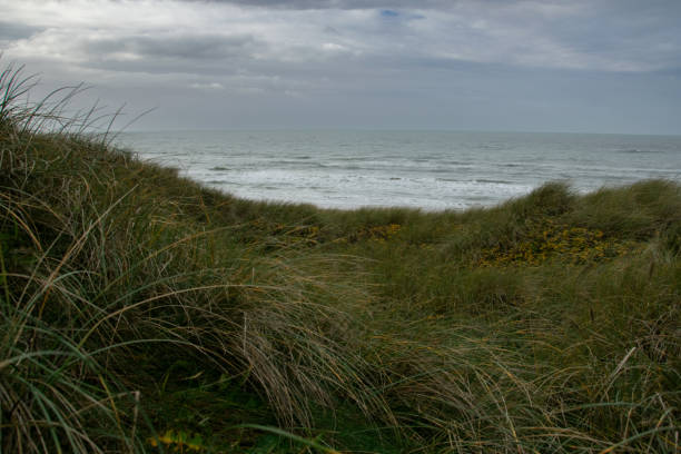 istock Fyrklit Beach, Northern Jytland 1715498941