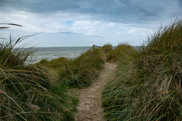istock Fyrklit Beach, Northern Jytland 1715498991