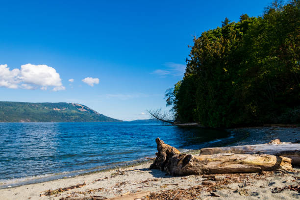 istock View of Cowichan Bay 1715501753