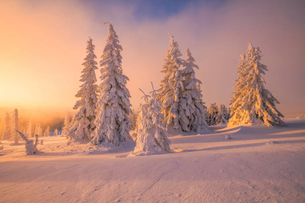 istock Frosty sunrise in the mountains 1715506275