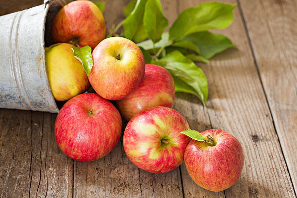 farm frescas maçãs vertendo do balde - maçã braeburn imagens e fotografias de stock