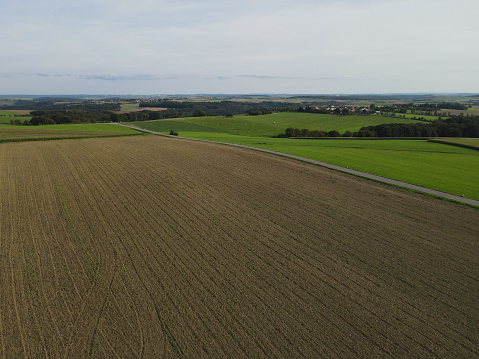 A overview of a large green field in Denmark