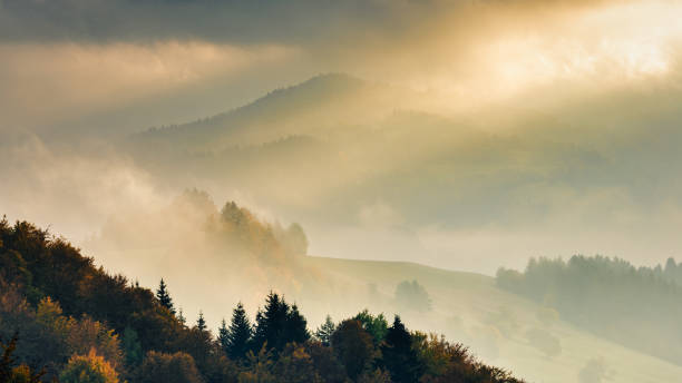 istock Autumn misty mountainous landscape with morning sun rays shining 1715524085