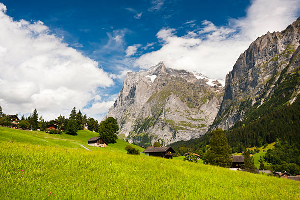 istock Wetterhorn, Swiss Alps 171552768