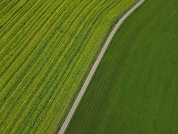 istock View from above of a road between green fields in the landscape 1715530578