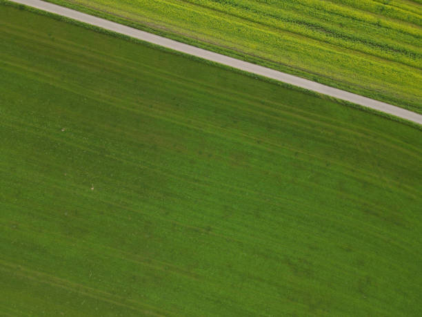istock View from above of green fields with a asphalt road in the middle 1715530580