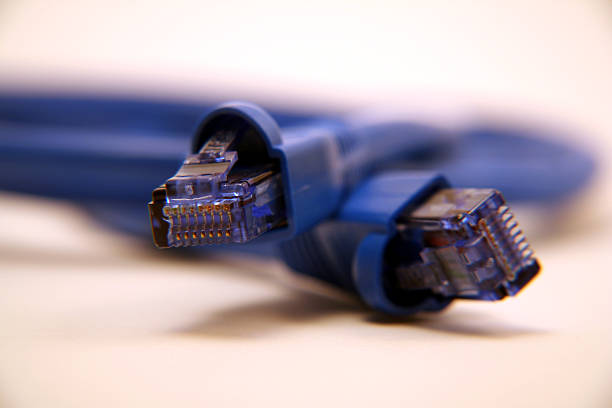 A closeup of blue cat5 network cables.