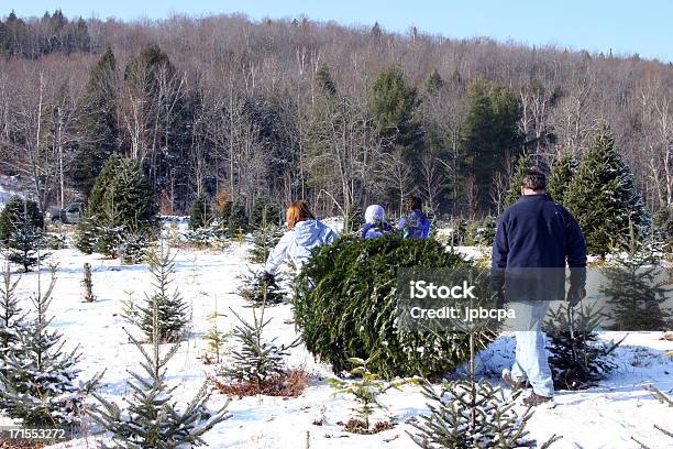 Llevar Su Casa Del Árbol De Navidad Foto de stock y más banco de imágenes de Aire libre - Aire libre, Celebración - Ocasión especial, Cosechar