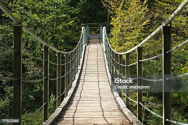 Ponte Sullaltro Lato - Fotografie stock e altre immagini di Autunno - Autunno, Composizione orizzontale, Concetti