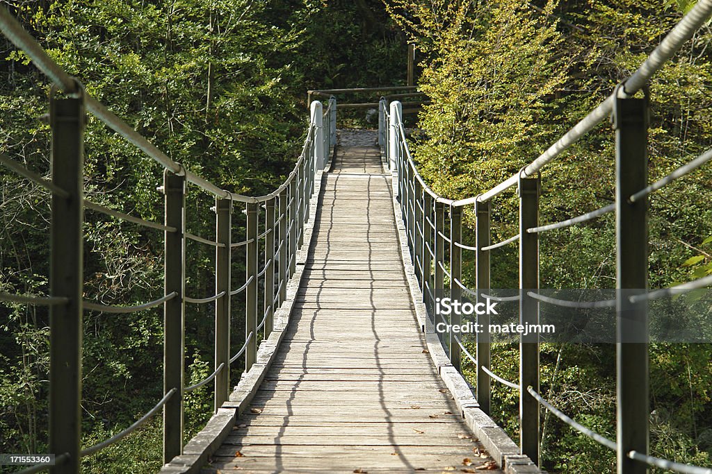 Bridge to the other side Hanging bridge over river. Autumn Stock Photo