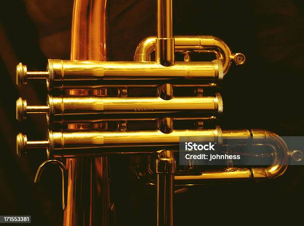 Flugel Pistons Stock Photo - Download Image Now - Flugelhorn, Arts Culture and Entertainment, Brass