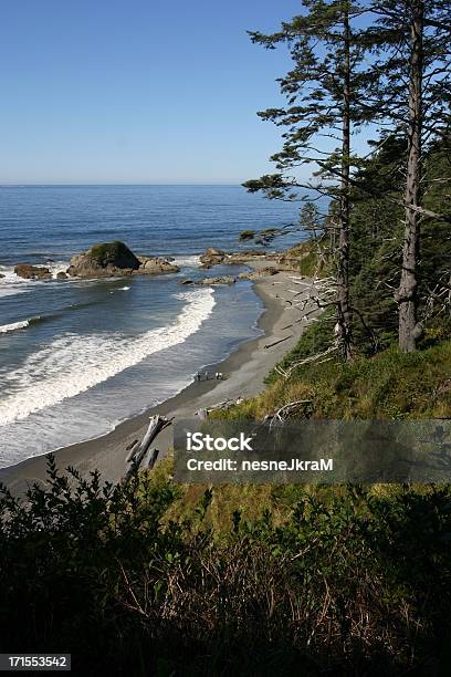 Washington Costa - Fotografie stock e altre immagini di Stato di Washington - Stato di Washington, Costa - Caratteristica costiera, Spiaggia