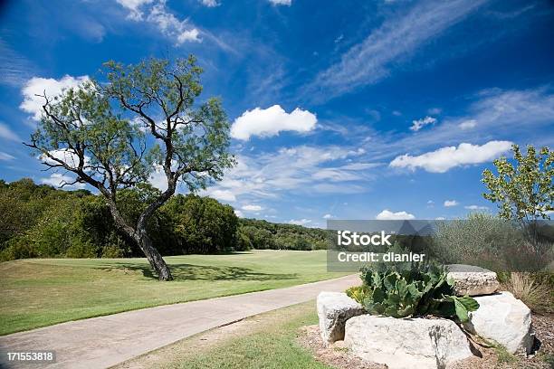 Baum Gegen Den Blauen Himmel Und Wolken Stockfoto und mehr Bilder von Mesquitebaum - Mesquitebaum, Texas, Baum