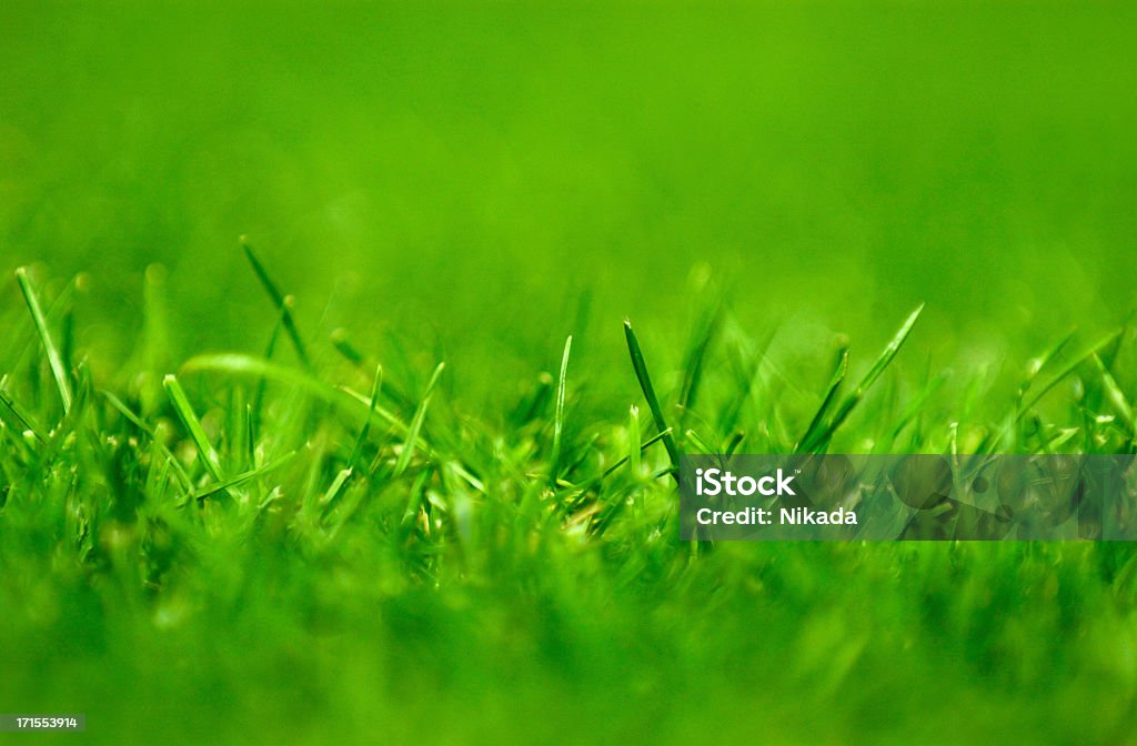 Campo de futebol - Foto de stock de Futebol royalty-free