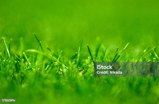 Foto de Campo De Futebol e mais fotos de stock de Futebol - Futebol, Macrofotografia, Campo