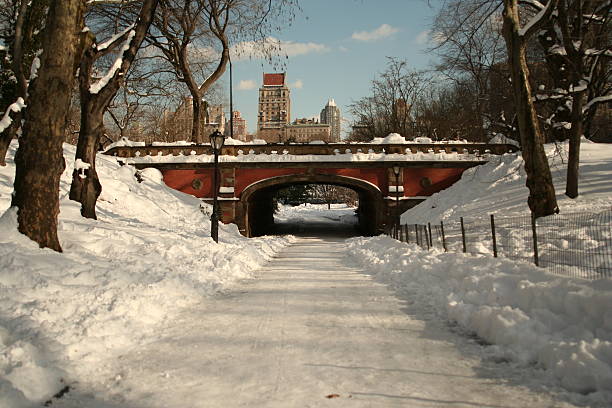 Red Bridge inverno no Central Park - foto de acervo