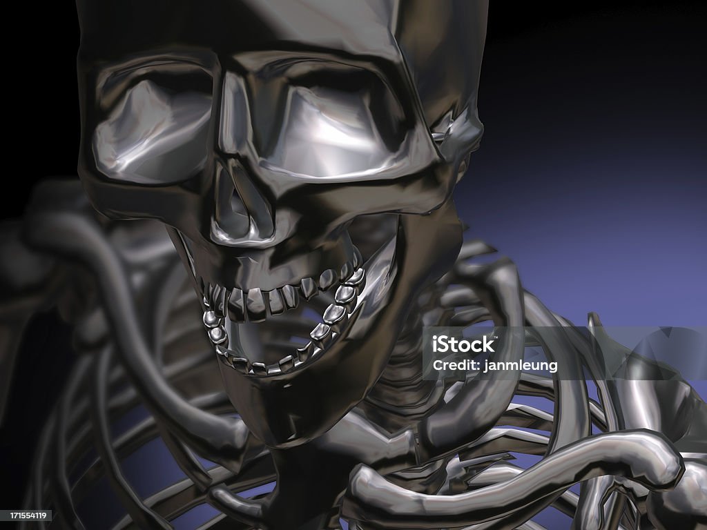 Szkielet - Zbiór zdjęć royalty-free (Anatomia człowieka)