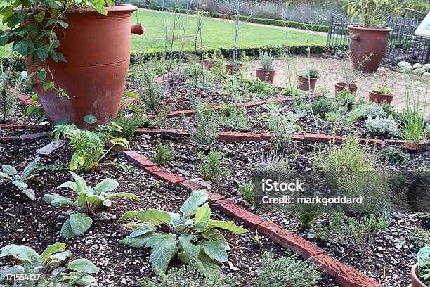 Jardín De Hierbas Foto de stock y más banco de imágenes de Aire libre - Aire libre, Albahaca, Comidas y bebidas